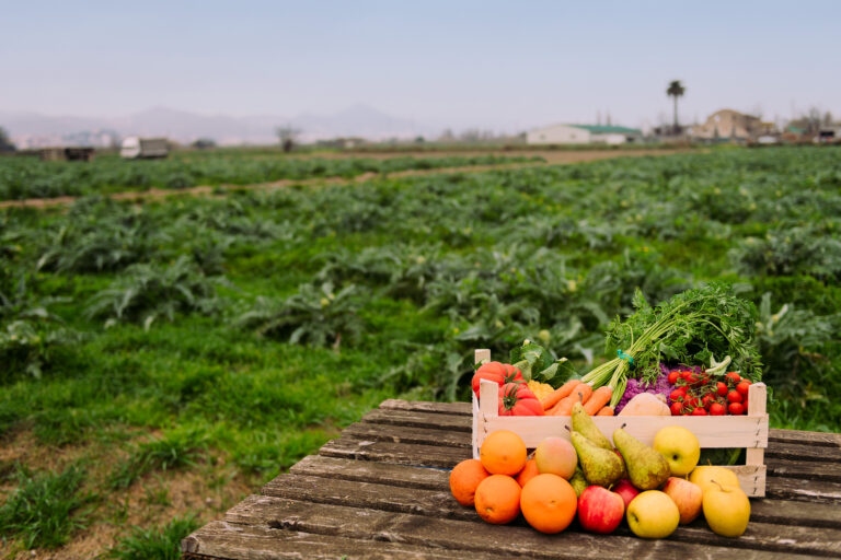 wooden box with vegetables and fruits in a field